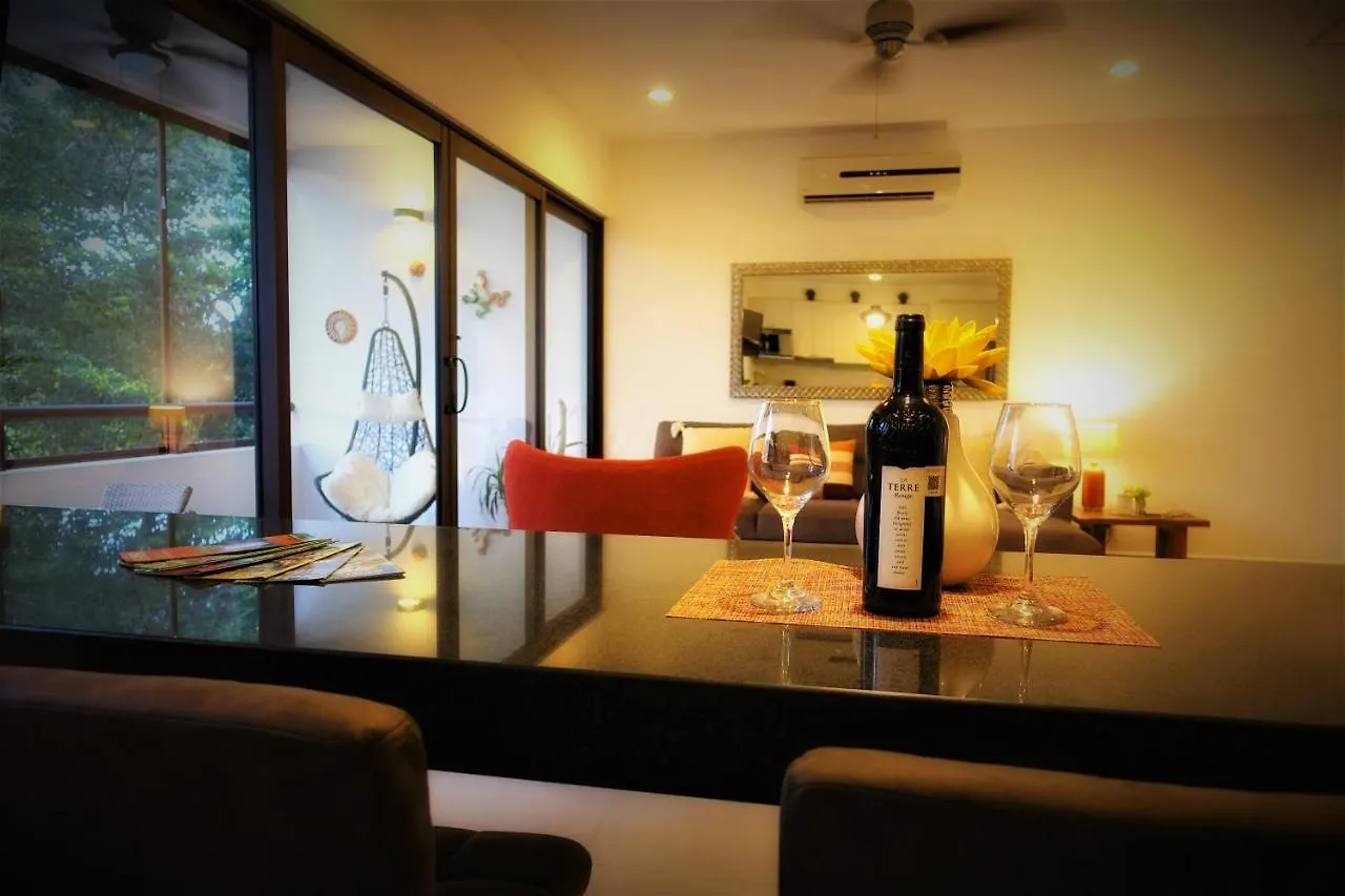 Luxury Loft Resort Amenities Akumal Apartment