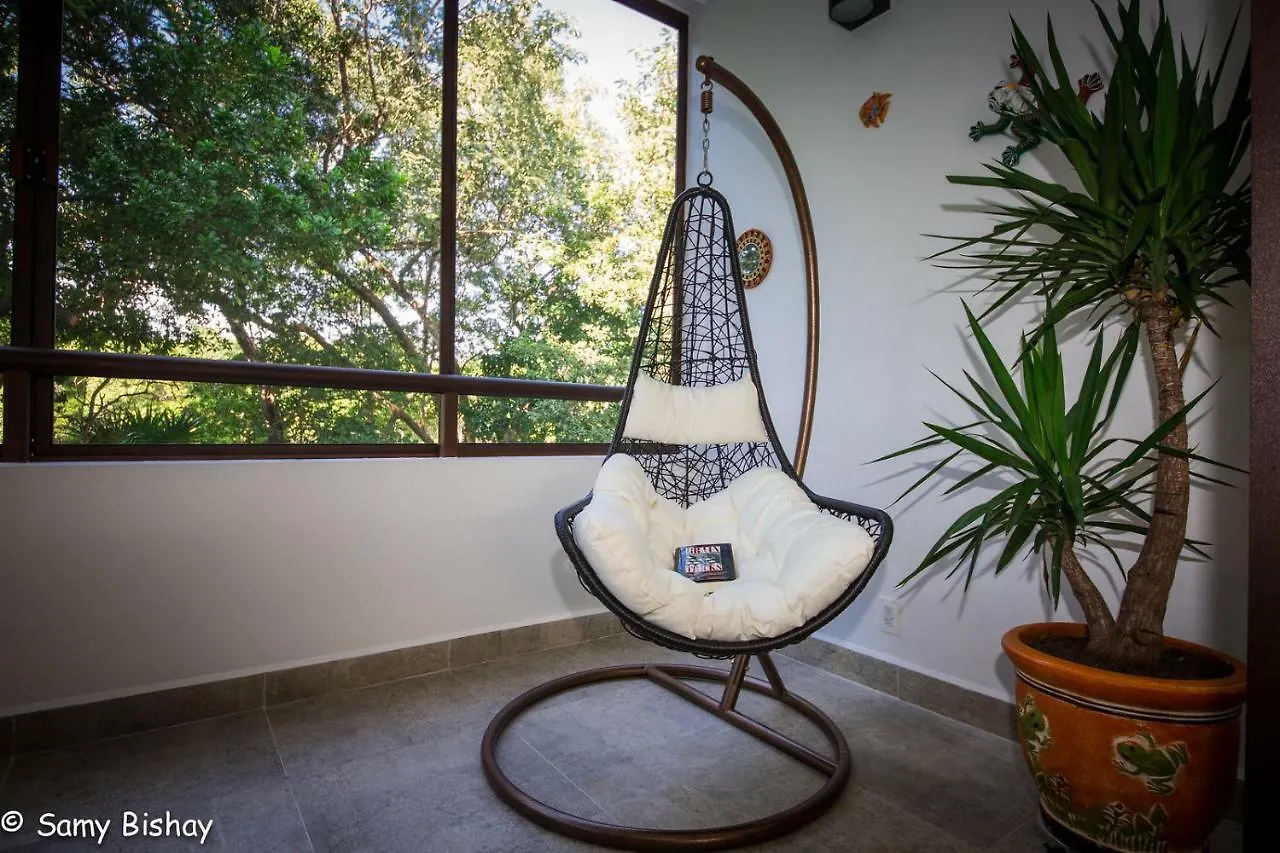 Luxury Loft Resort Amenities Akumal