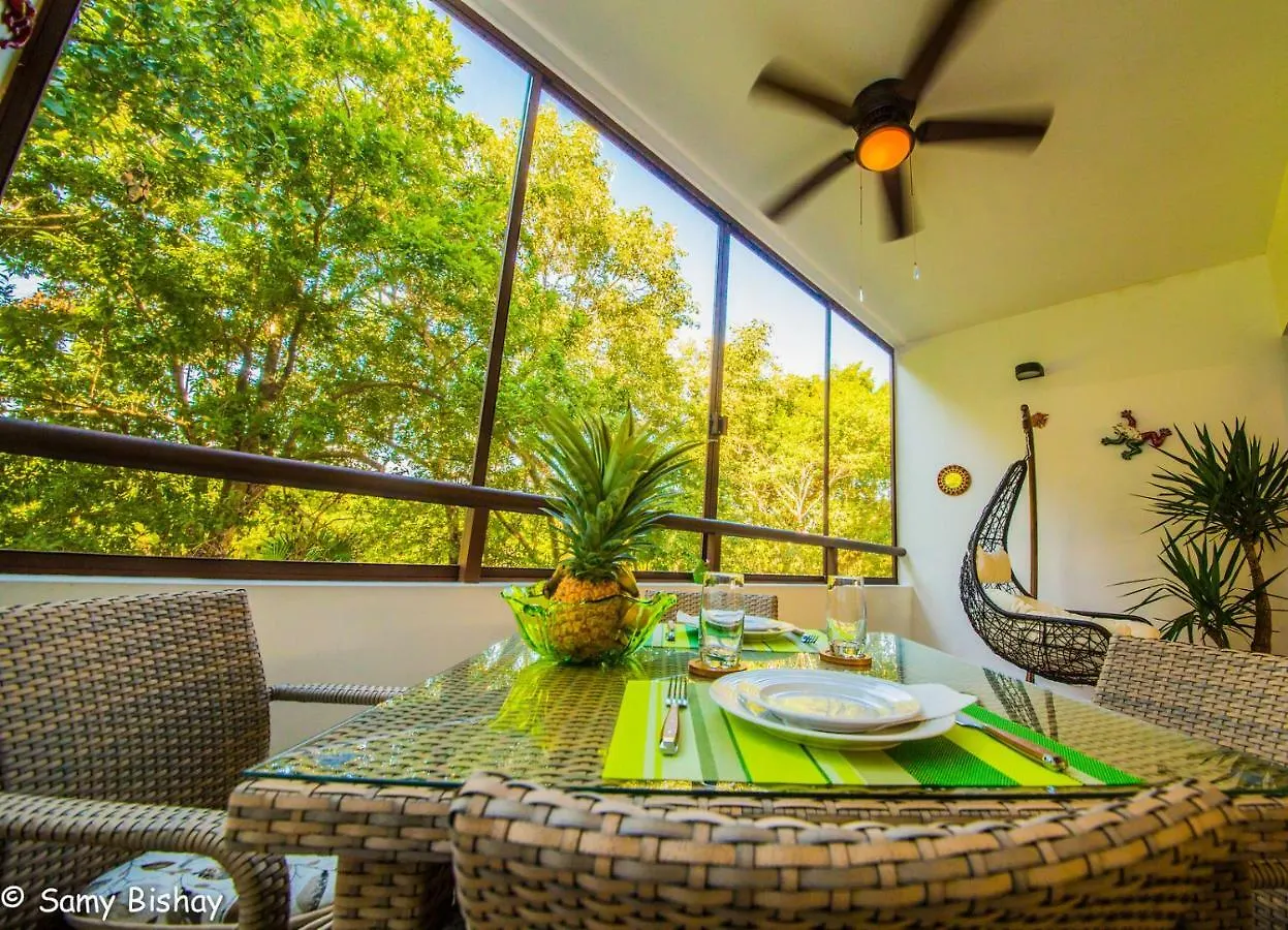 Luxury Loft Resort Amenities Akumal