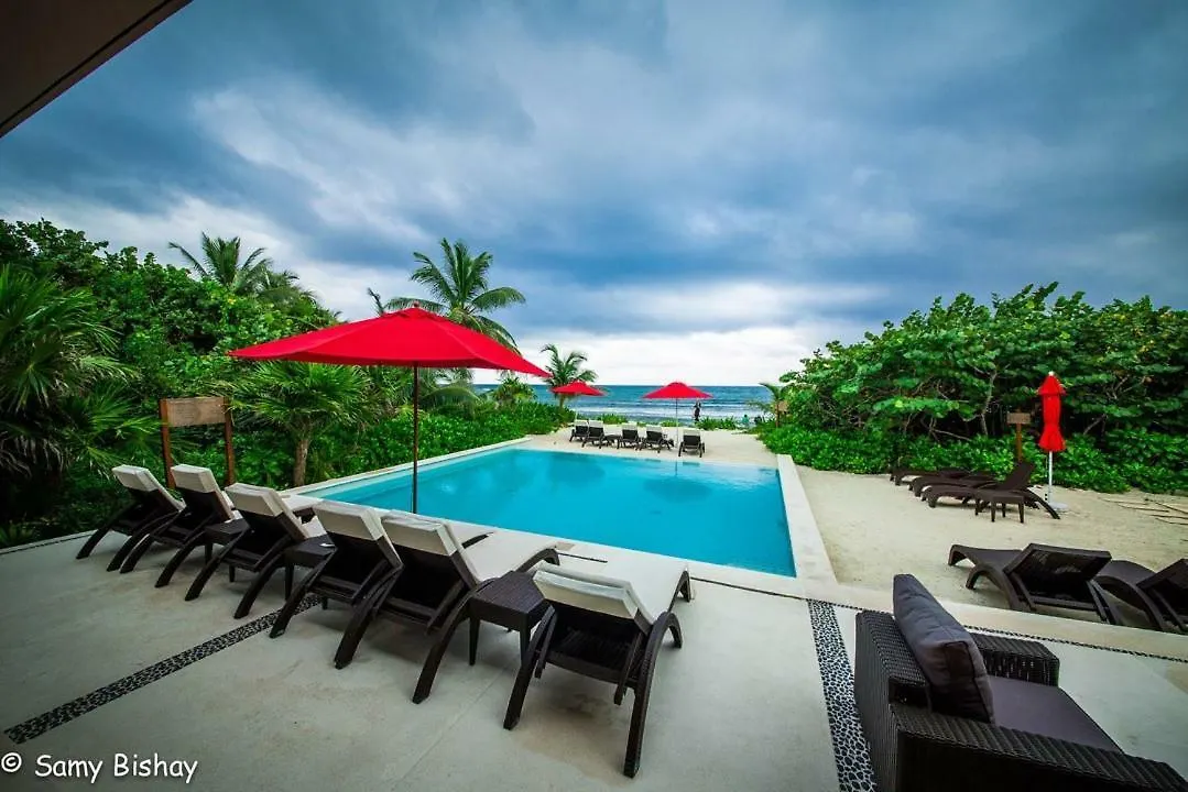 Apartment Luxury Loft Resort Amenities Akumal