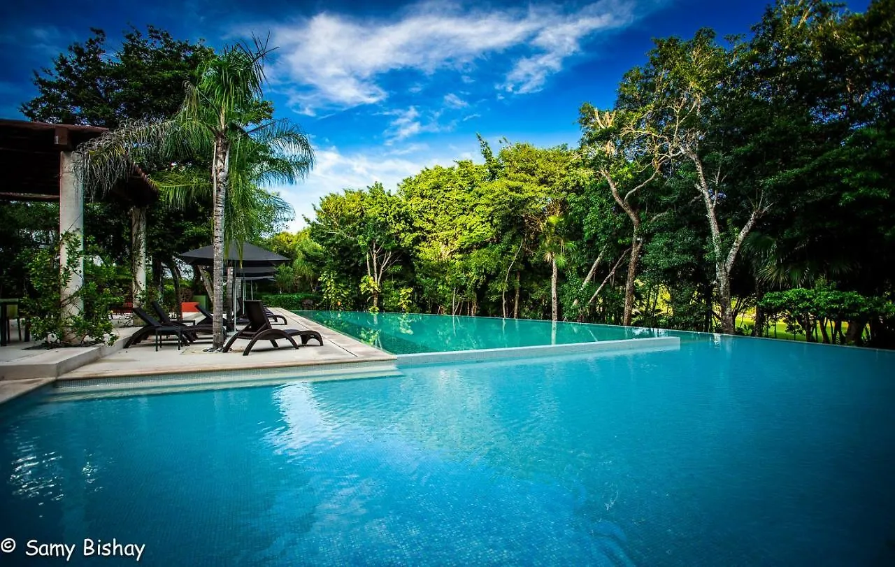 Luxury Loft Resort Amenities Akumal Apartment