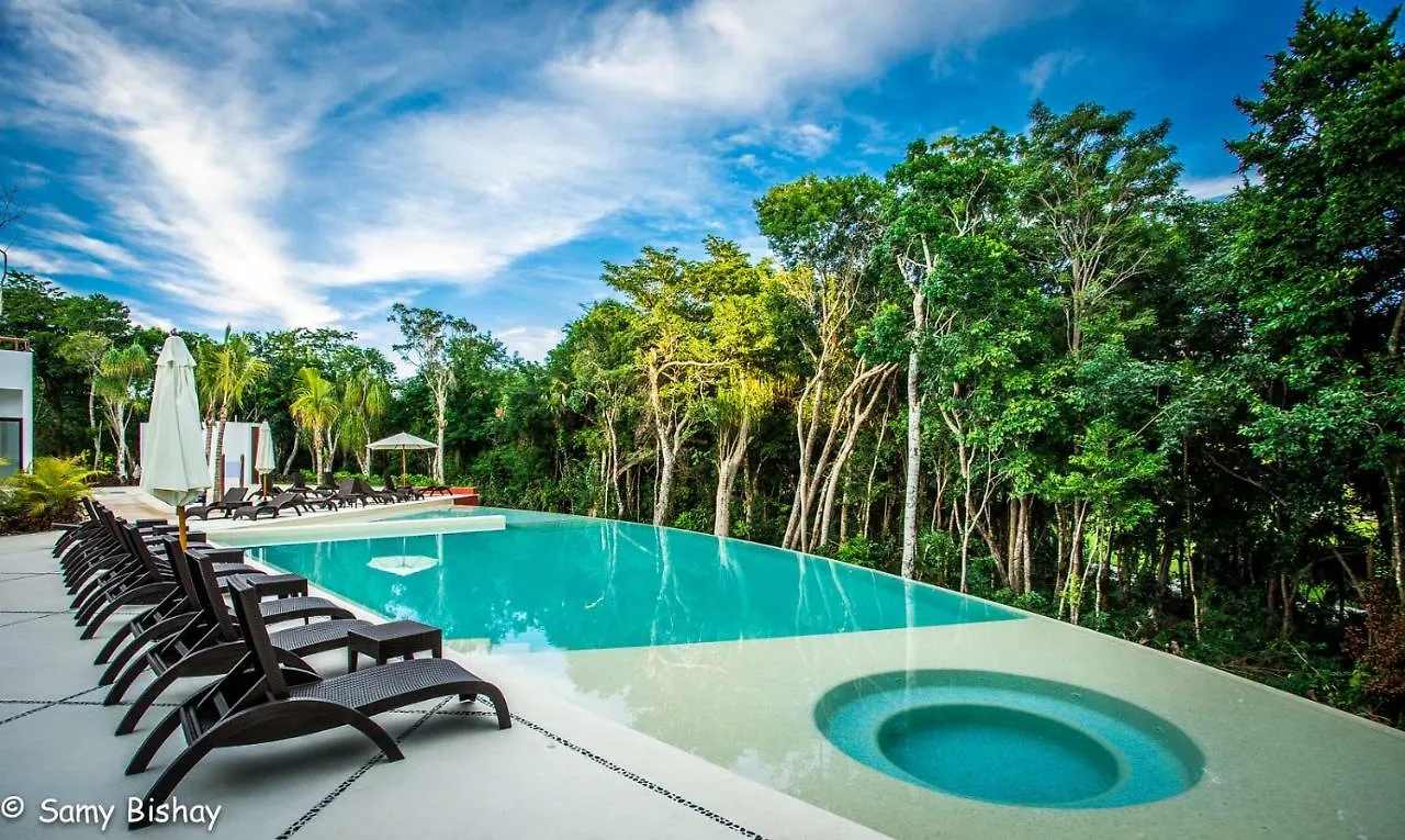 Apartment Luxury Loft Resort Amenities Akumal Mexico